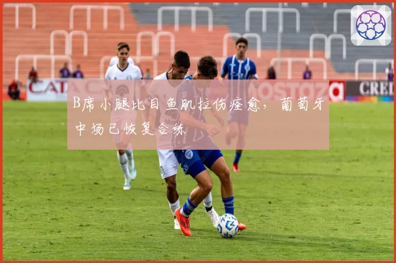 B席小腿比目鱼肌拉伤痊愈，葡萄牙中场已恢复合练