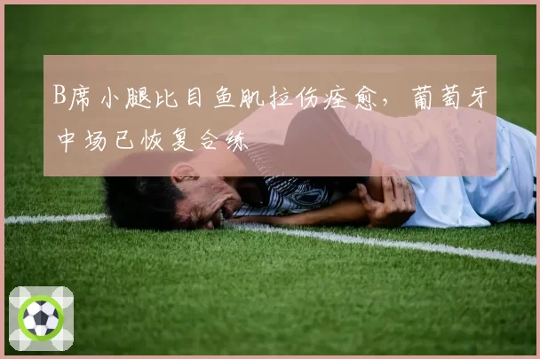 B席小腿比目鱼肌拉伤痊愈，葡萄牙中场已恢复合练