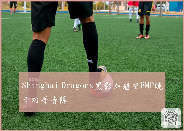 Shanghai Dragons黑影加猎空EMP晚于对手音障