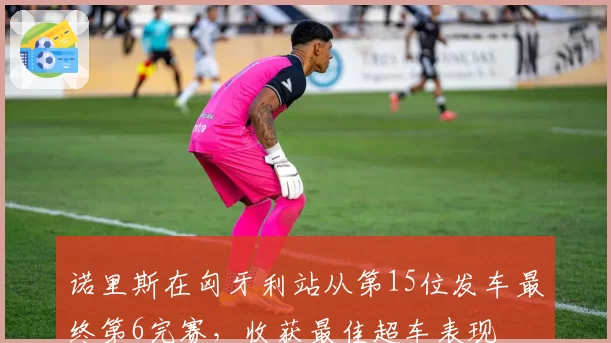诺里斯在匈牙利站从第15位发车最终第6完赛，收获最佳超车表现